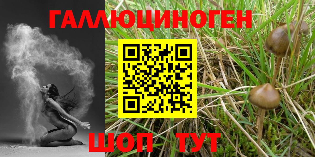 Галлюциногенные грибы MAGIC MUSHROOMS Вичуга