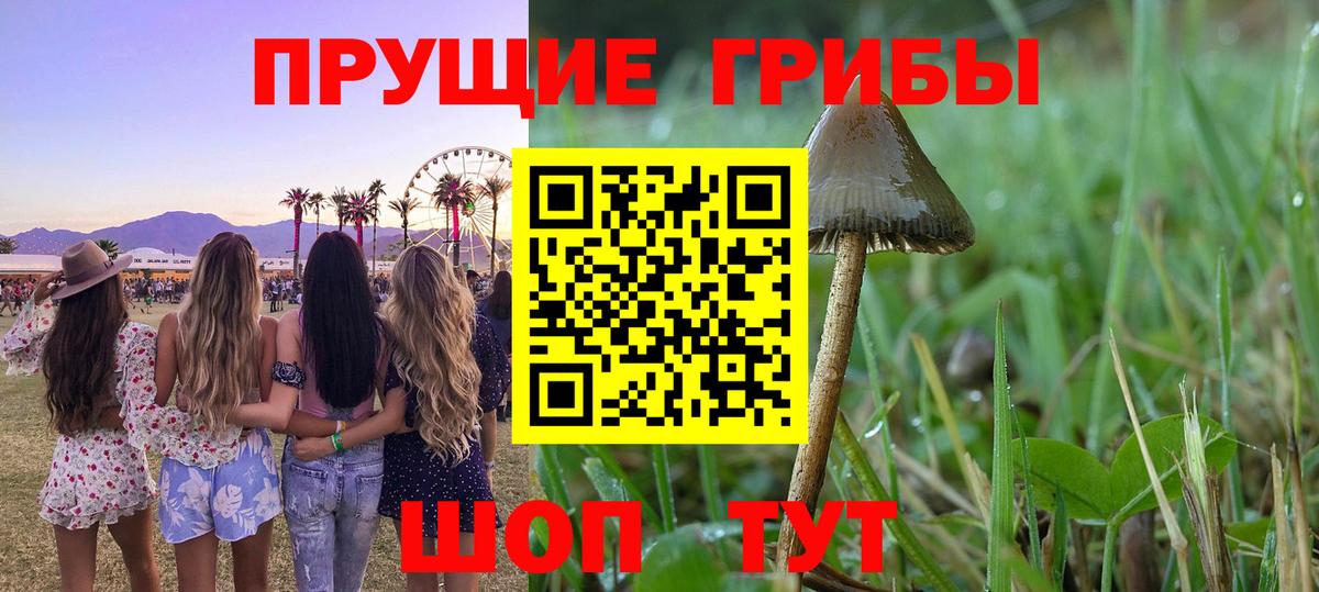 Вичуга  Галлюциногенные грибы ЛСД  Вход с VPN 