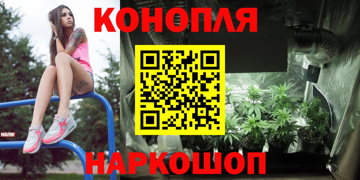 Вичуга  Бошки марихуана Bruce Banner  Вход с VPN  Марихуана VHQ 